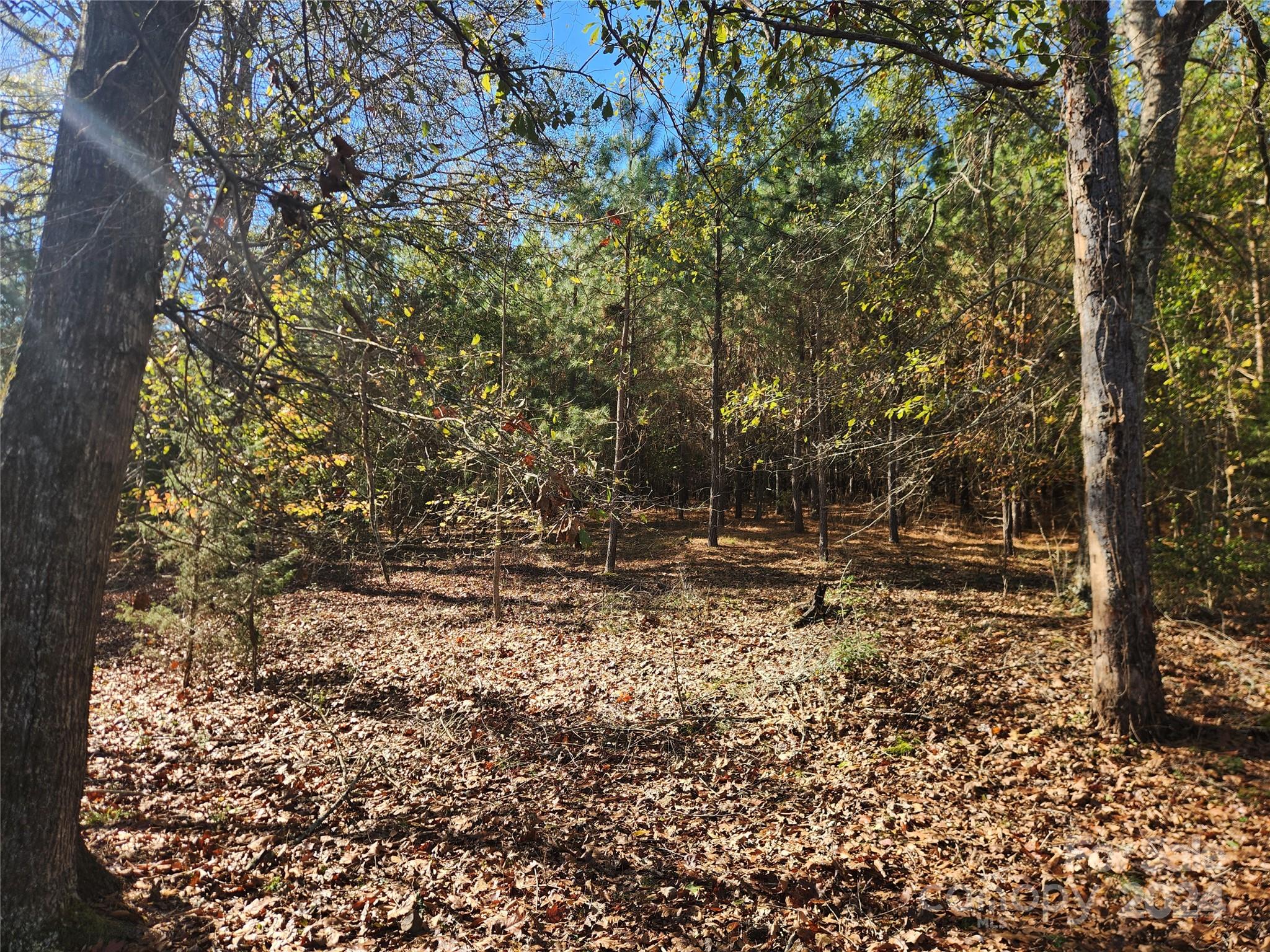 451 Low Bridge Road Property Photo 16