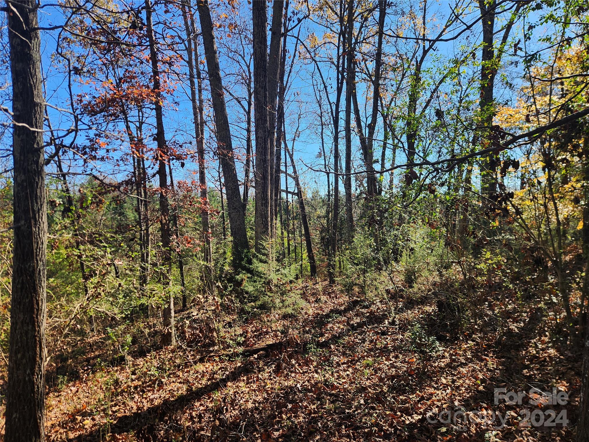 451 Low Bridge Road Property Photo 17