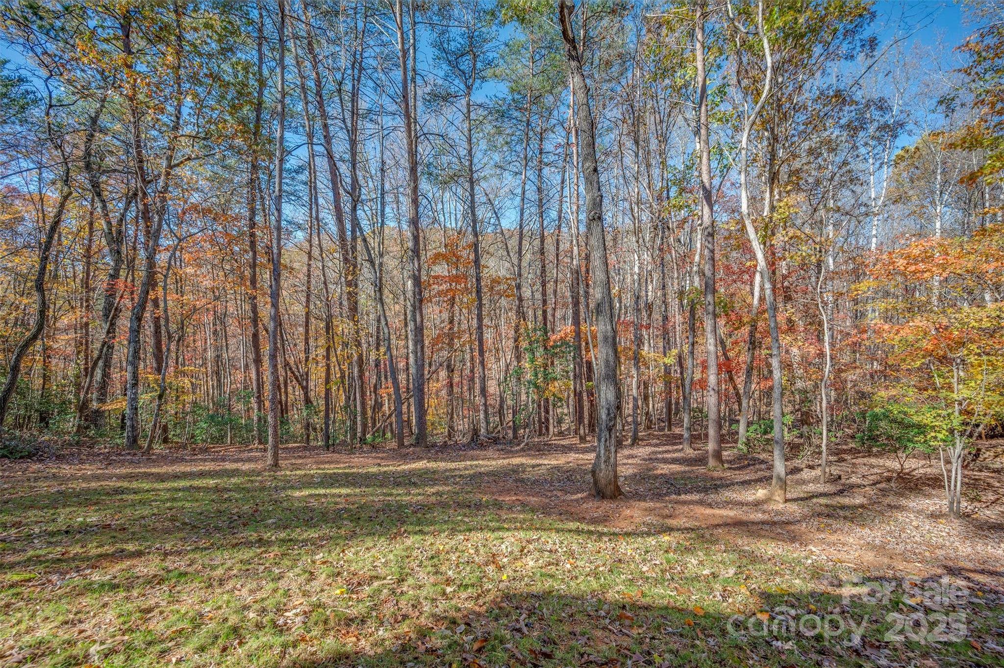 492 Mountain View Drive Property Photo 34