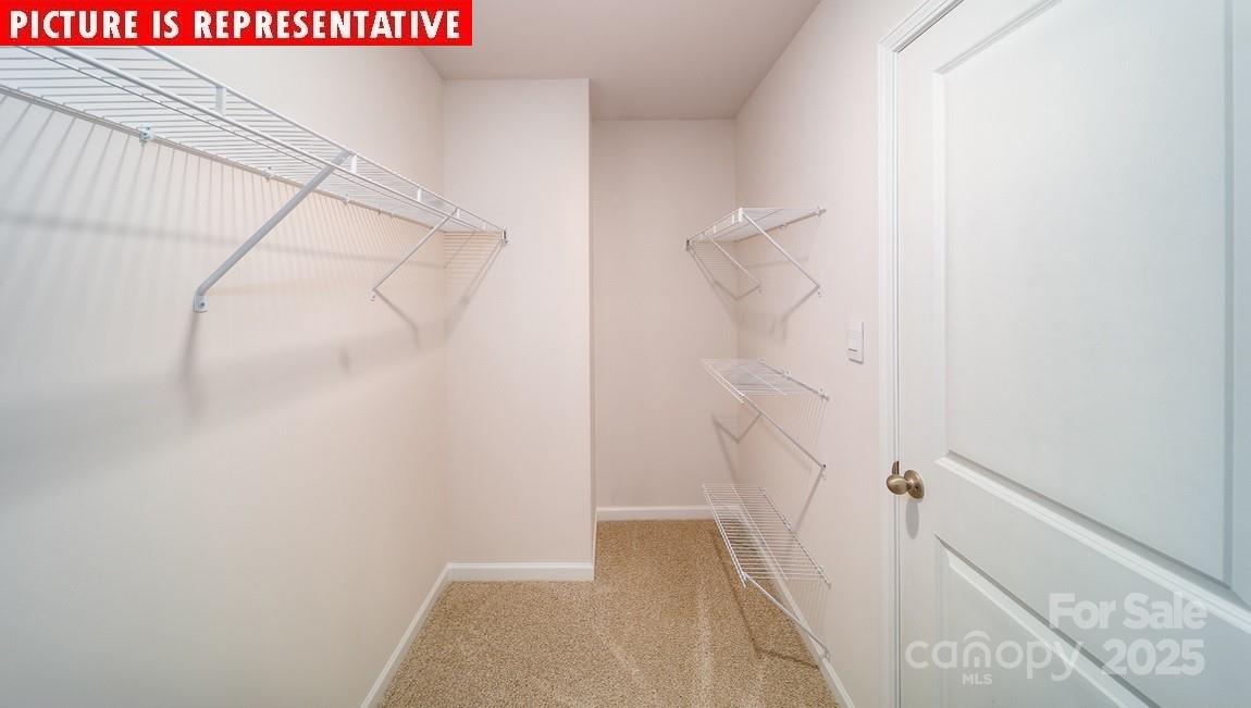3861 Cullen Meadows Drive Property Photo 17