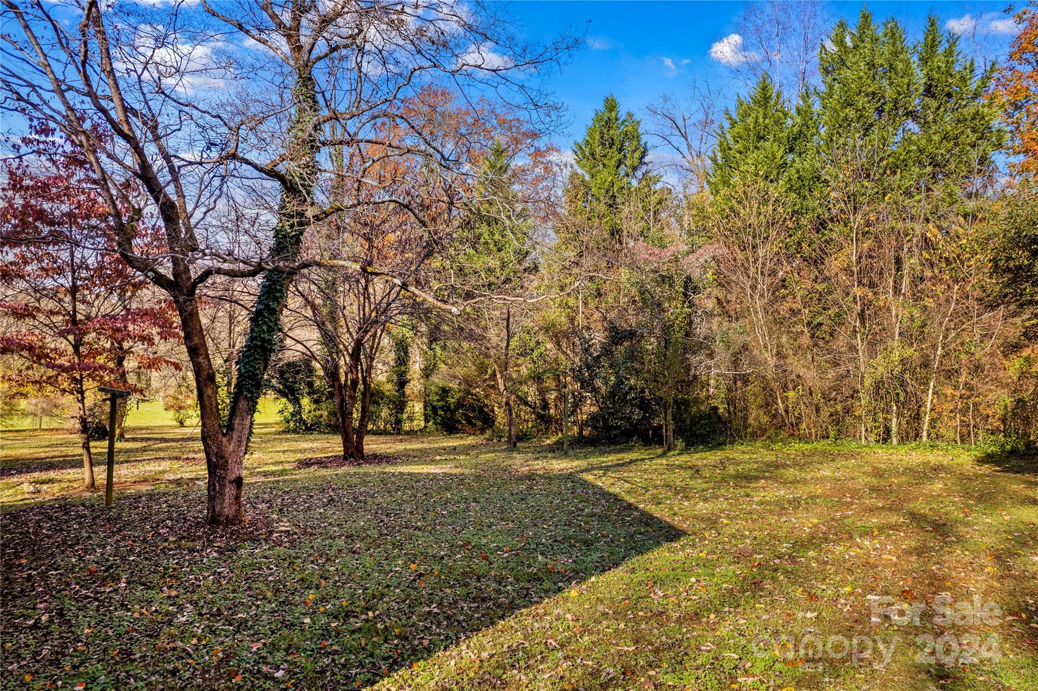 230 Feimster Street Property Photo 32
