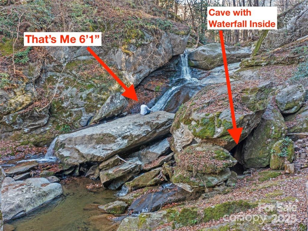 23 Katies Road 145.95 Acres Property Photo 1