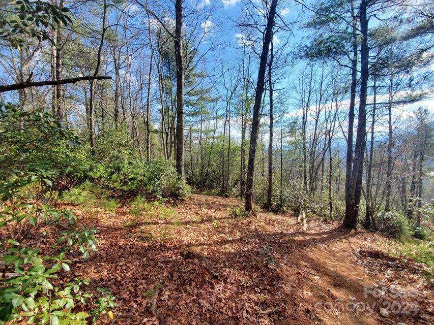 Tbd Elkins Road 22 Property Photo 2
