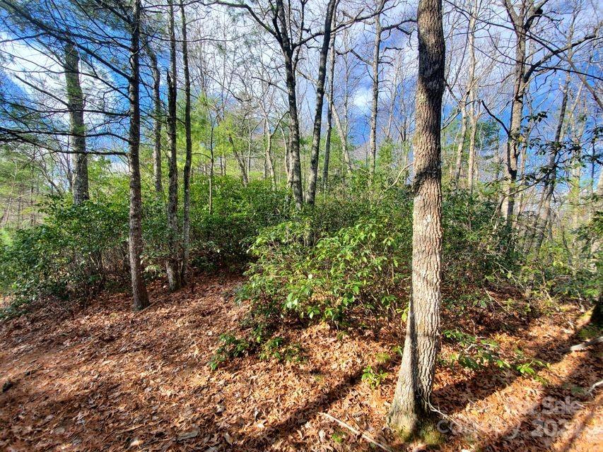 Tbd Elkins Road 22 Property Photo 6
