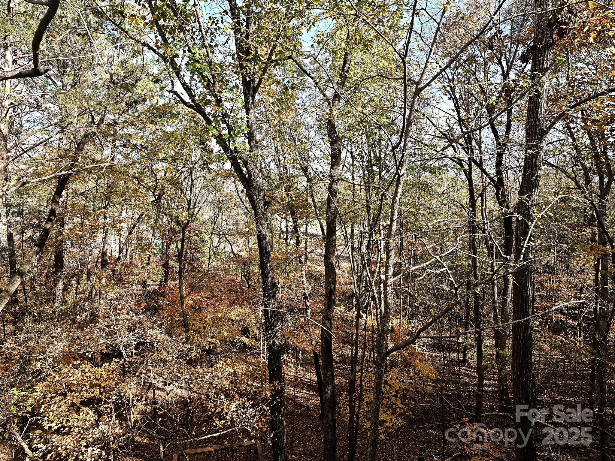 25040 Timberlake Drive Property Photo 20