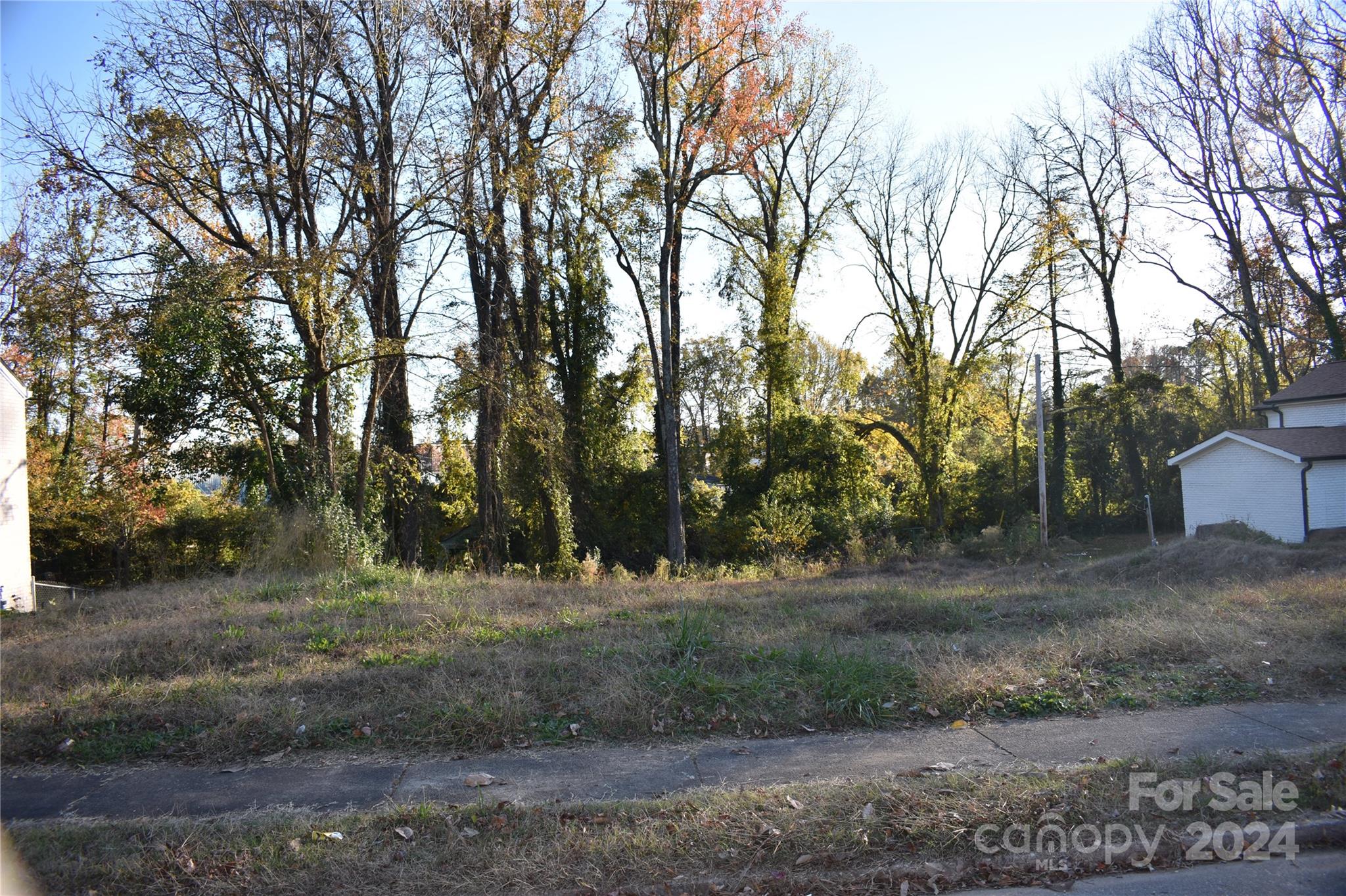 305 Gold Street Property Photo 2