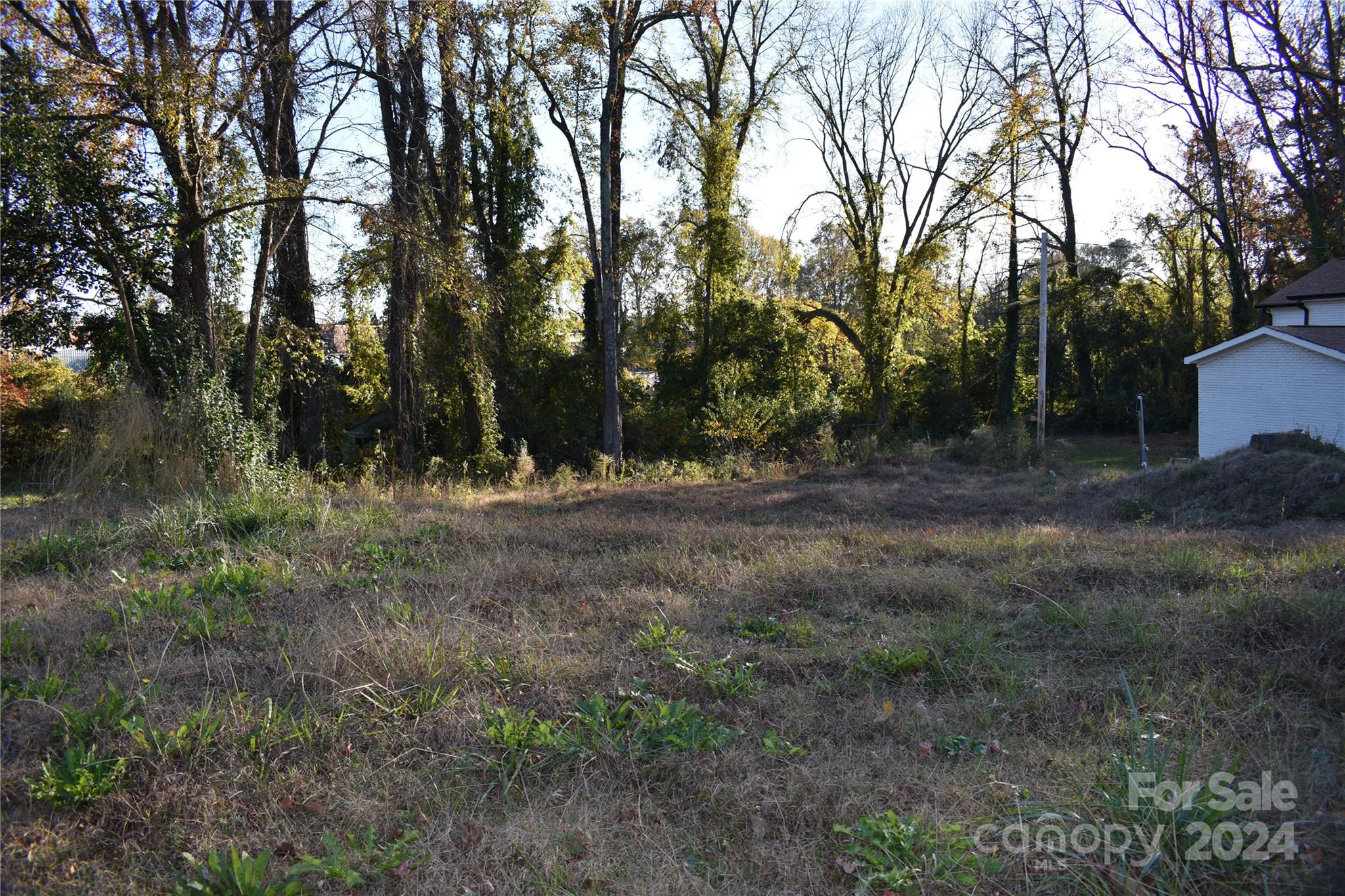 305 Gold Street Property Photo 3