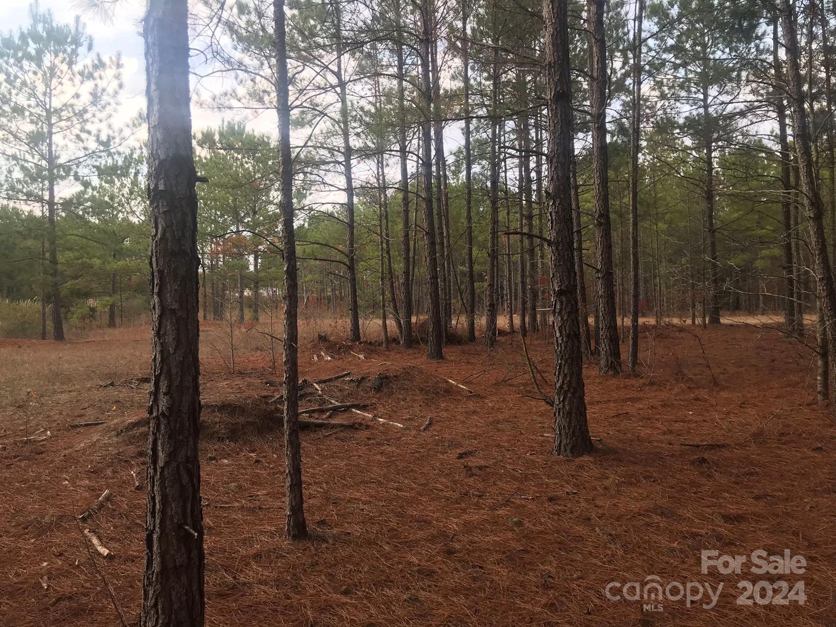 1824 Germantown Place Property Photo 15