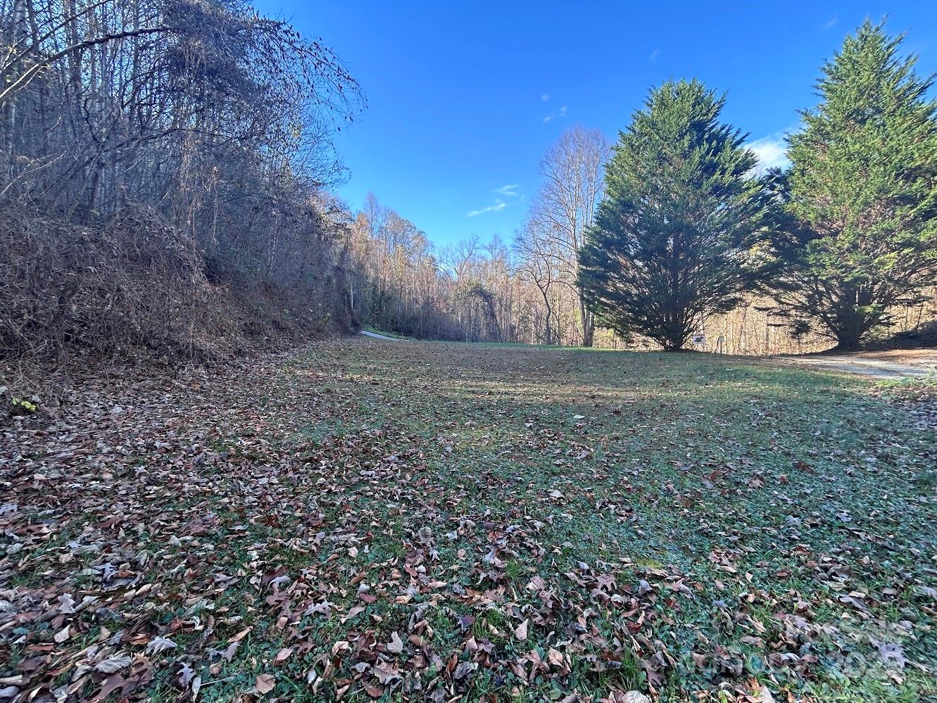 0 Whiteside Gap Road Property Photo