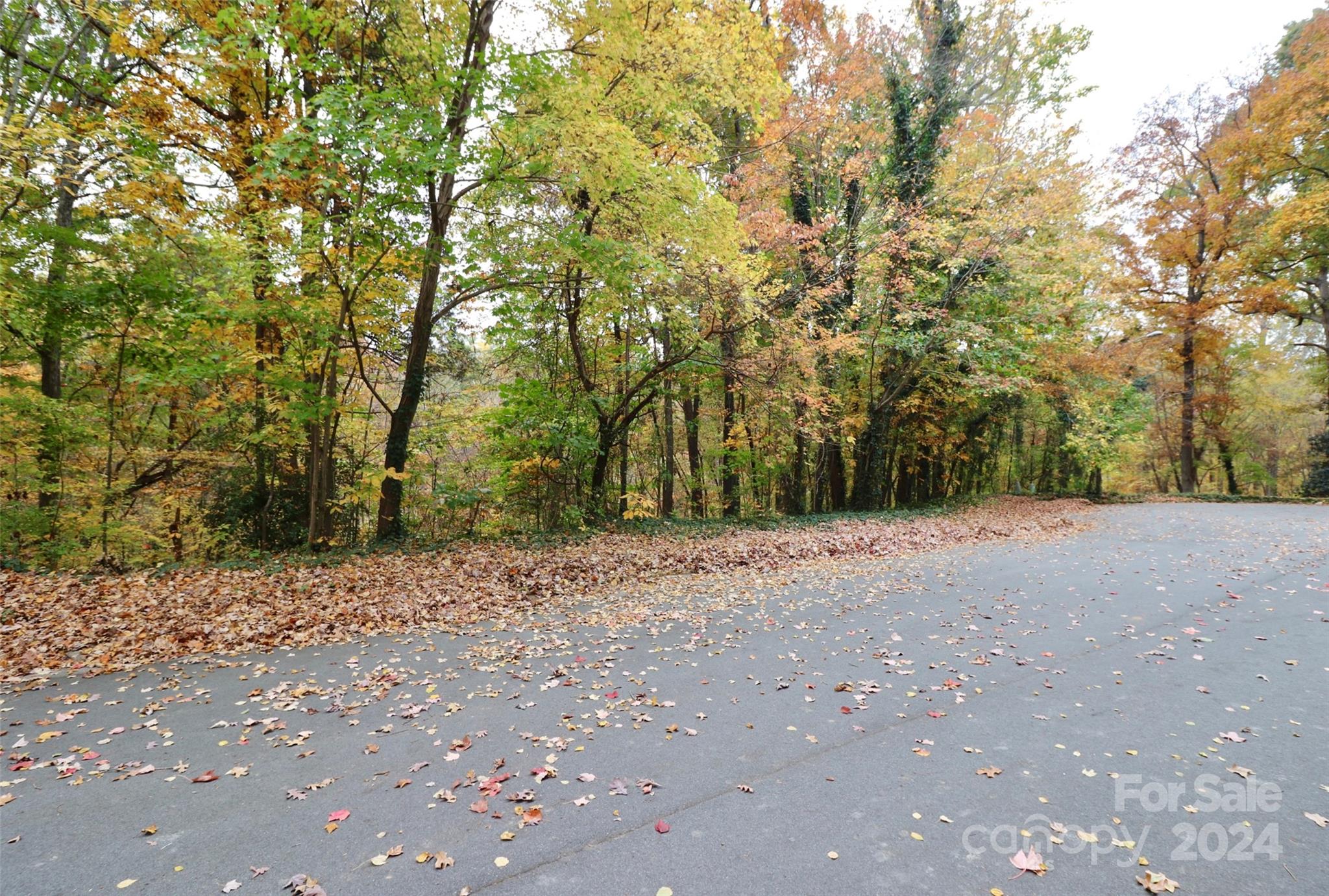0 Club Drive Property Photo 3