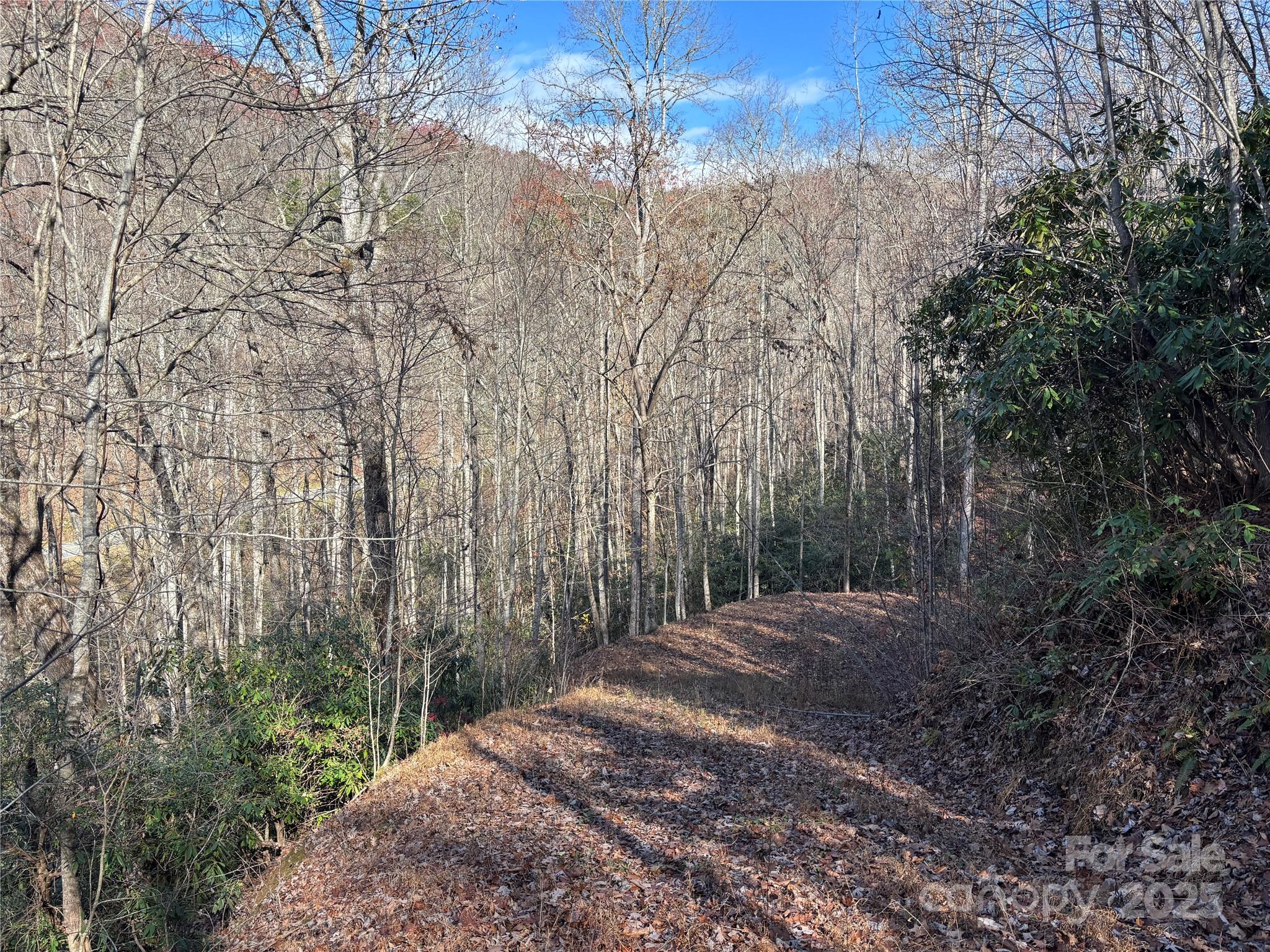 Off Houston Farm Road Property Photo 8