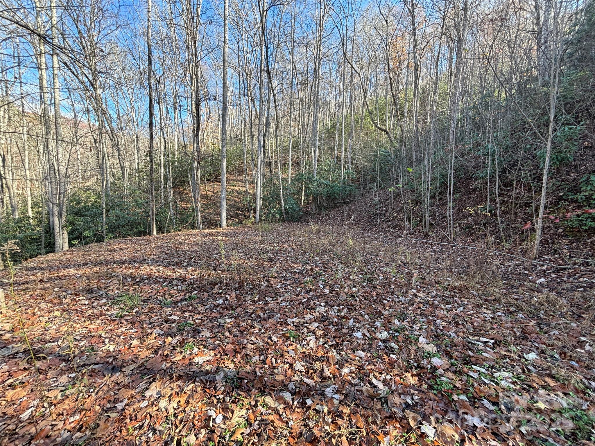 Off Houston Farm Road Property Photo 10