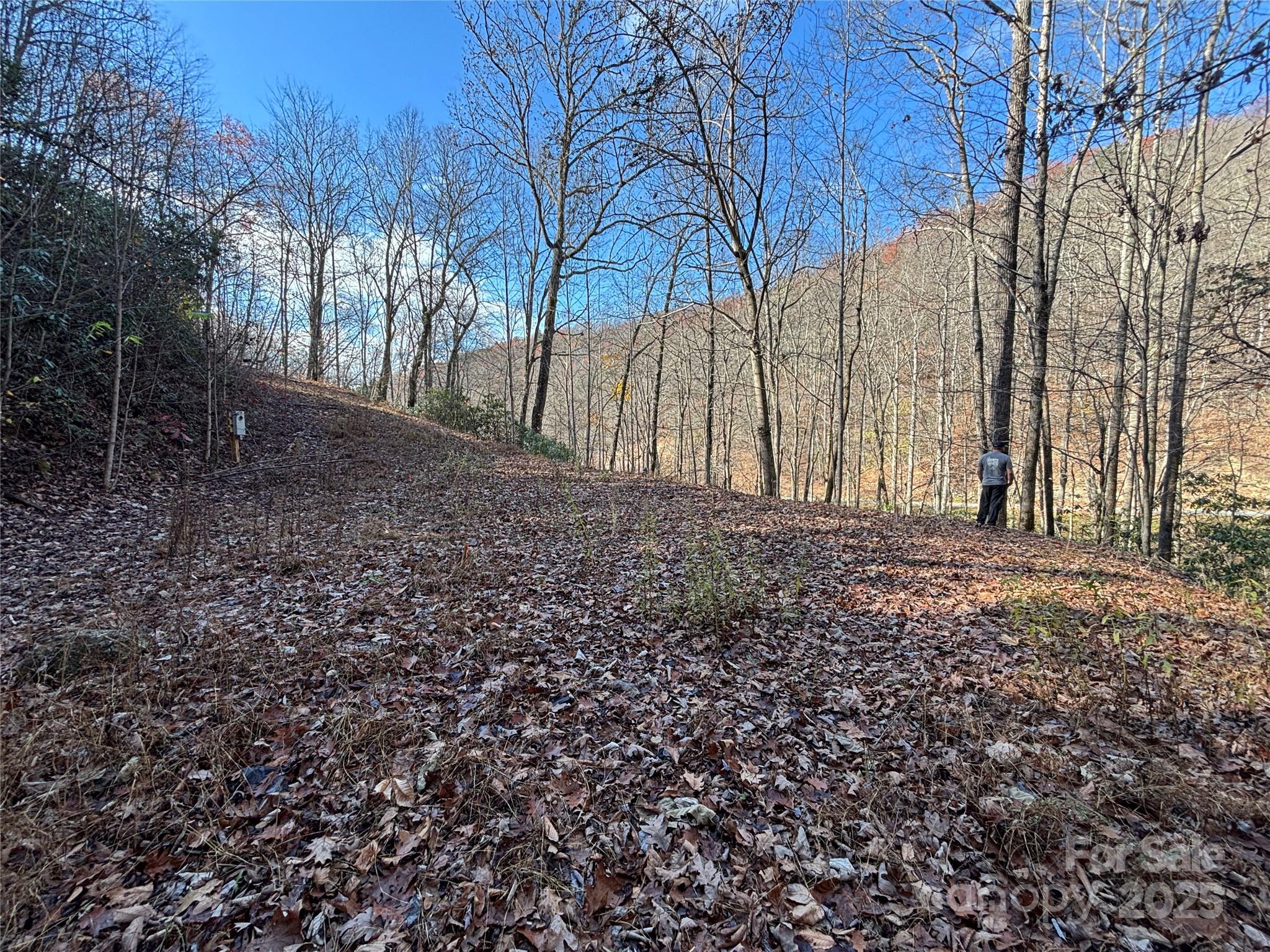 Off Houston Farm Road Property Photo 11
