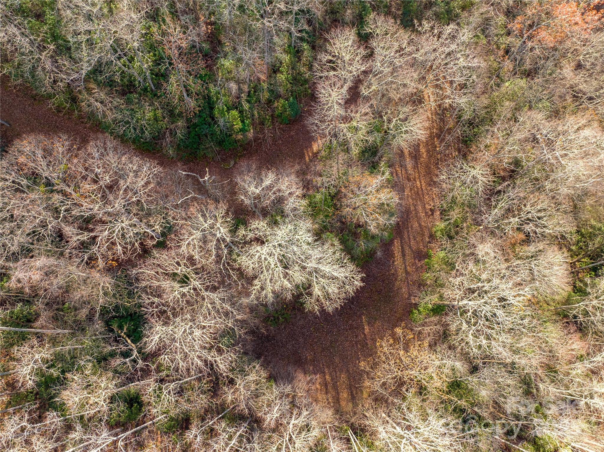 Off Houston Farm Road Property Photo 13