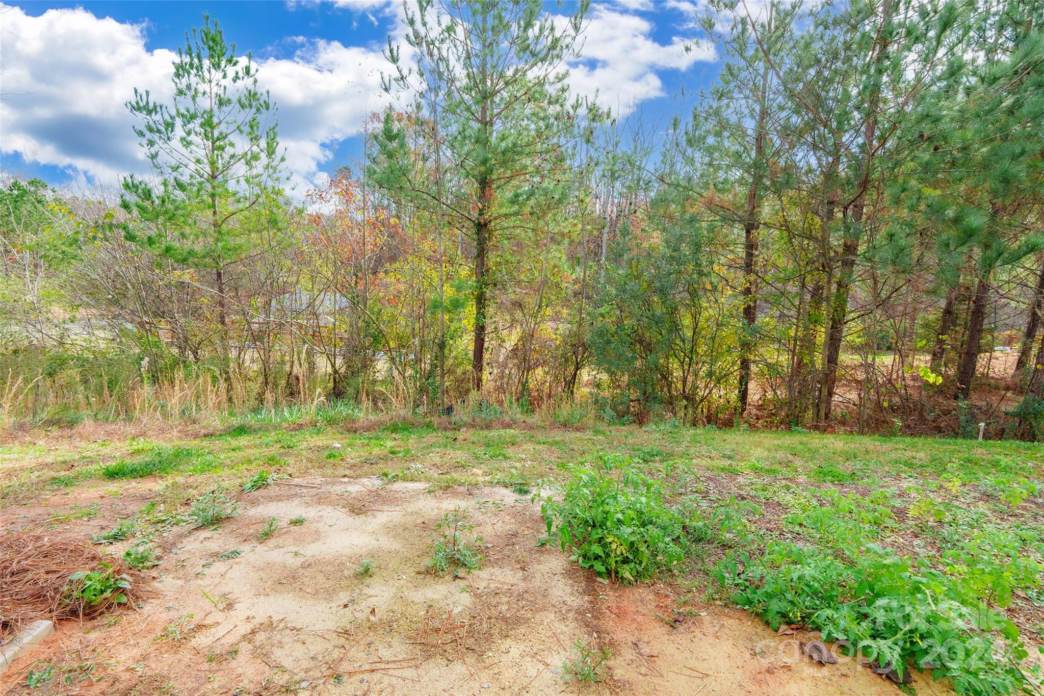 8127 Paw Club Drive Property Photo 27