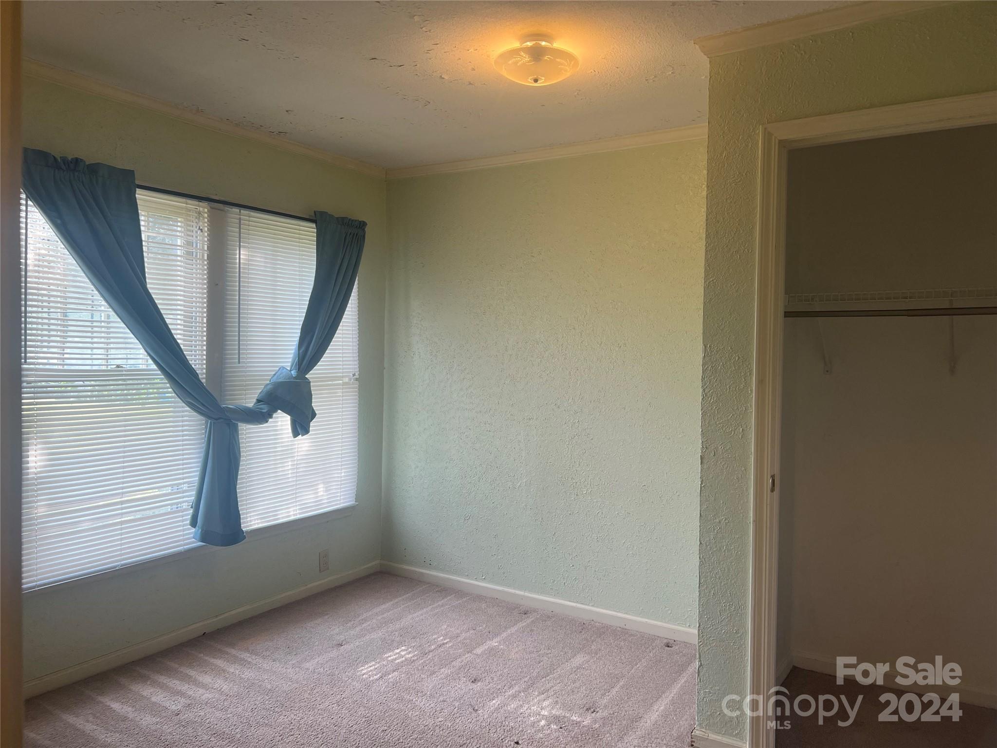 707 7th Street Property Photo 5