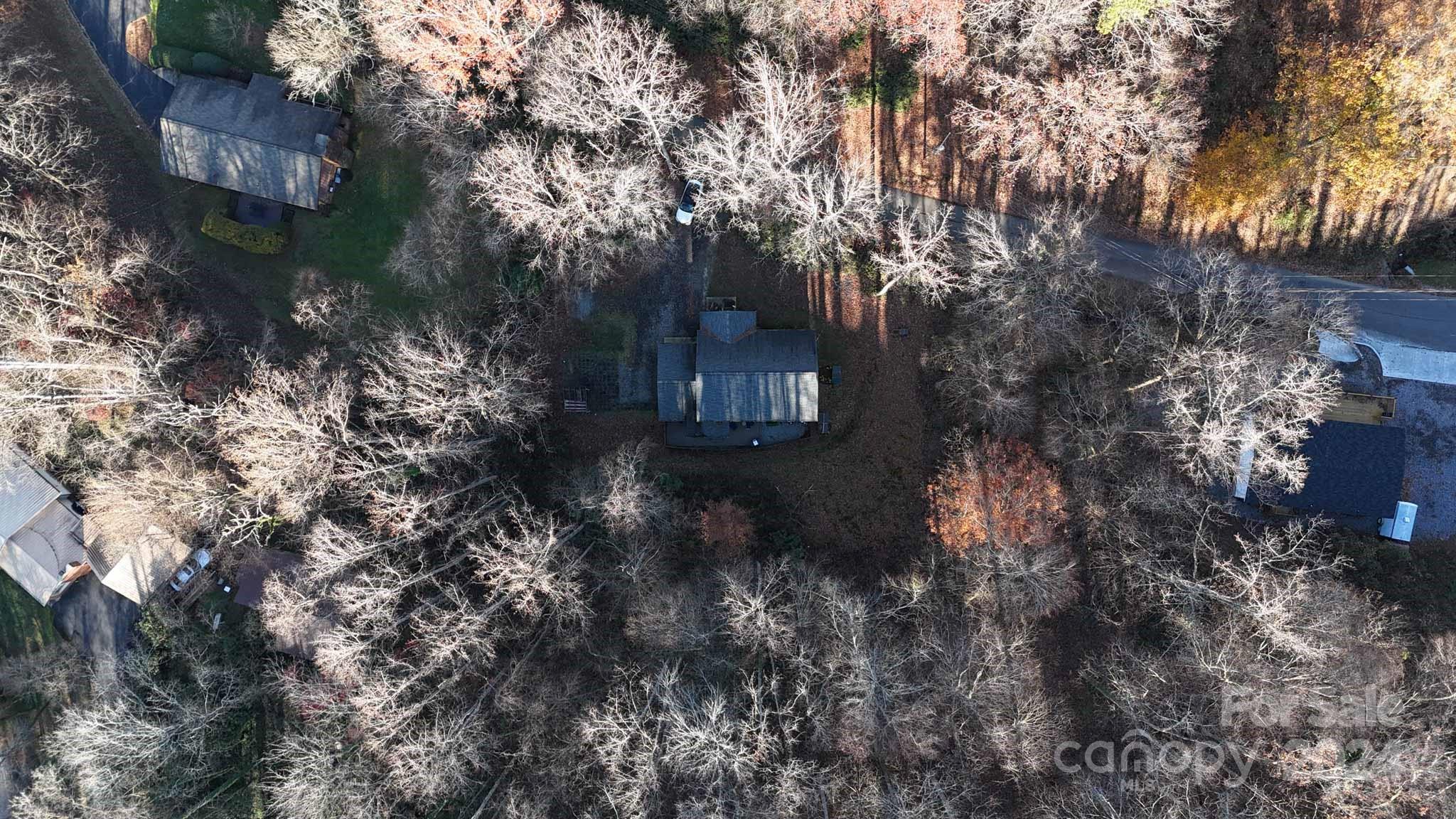 44 Laurel Branch Road Property Photo 39