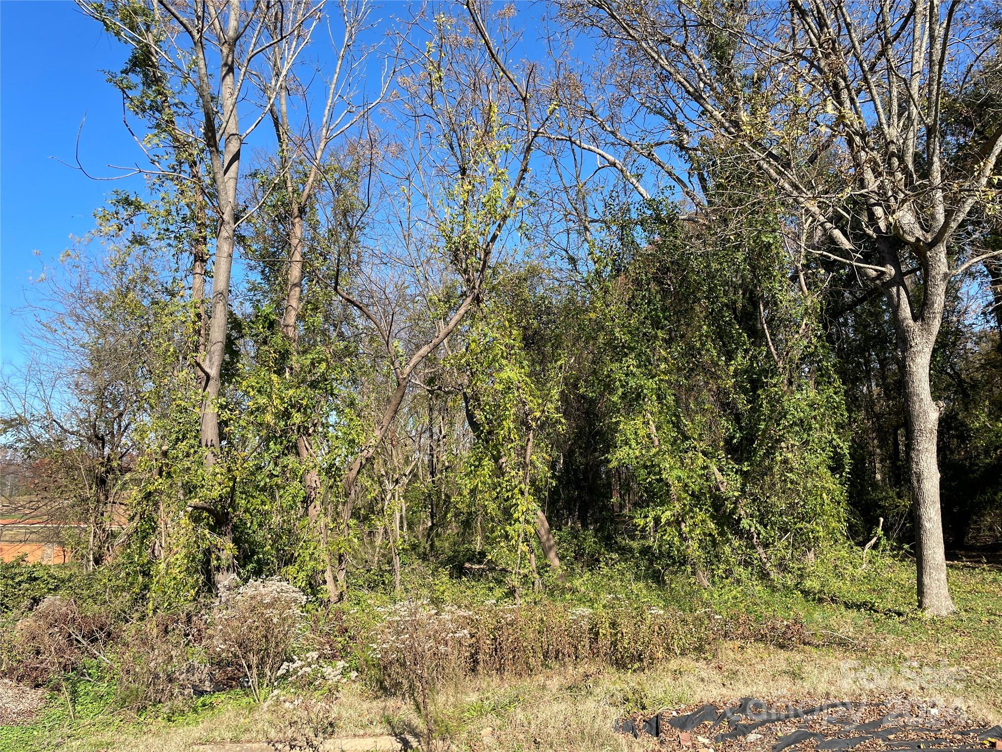 Tbd Blythe Mill Road Property Photo 4