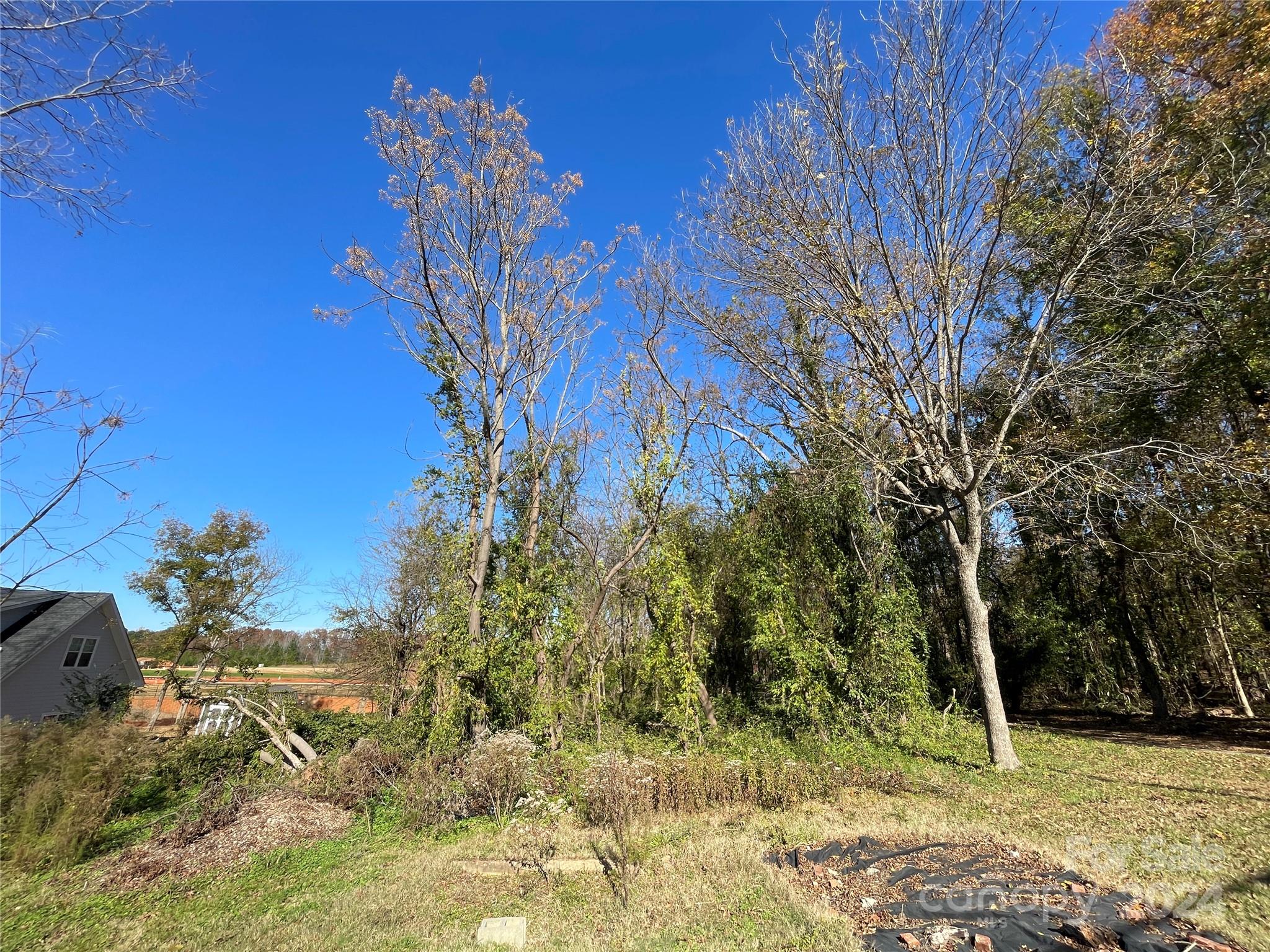 Tbd Blythe Mill Road Property Photo 5