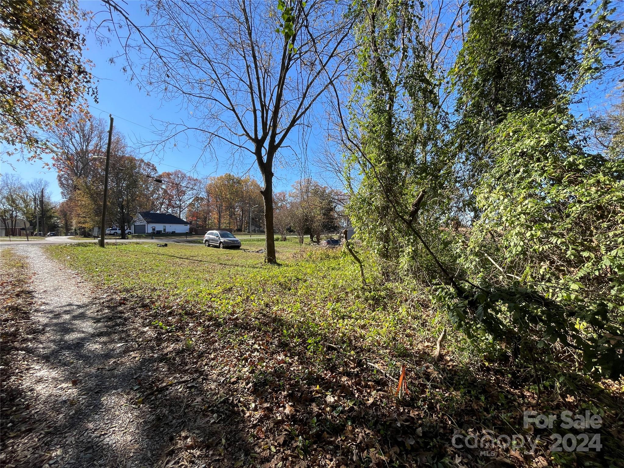 Tbd Blythe Mill Road Property Photo 6