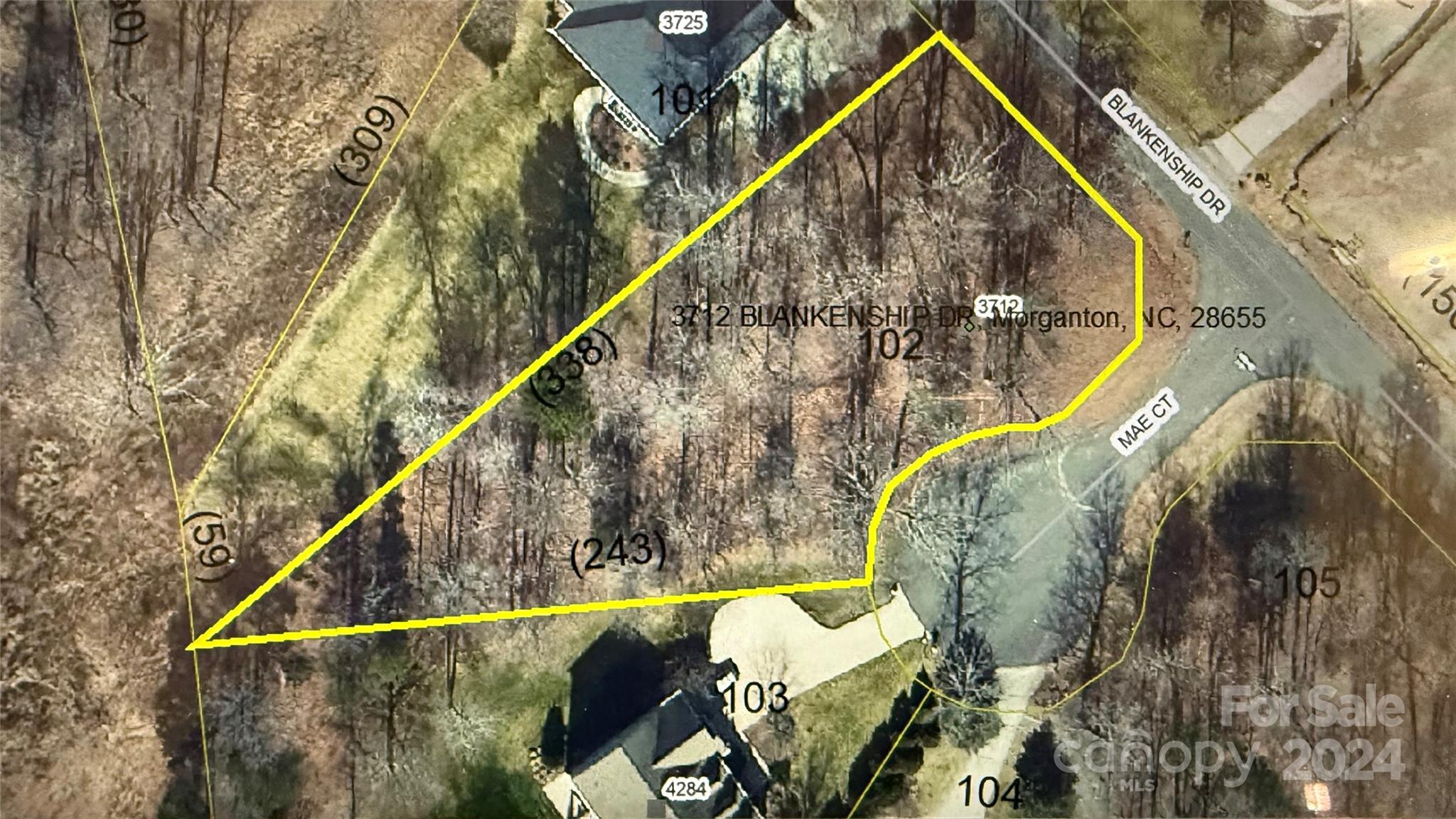 3712 Blankenship Drive Property Photo 1