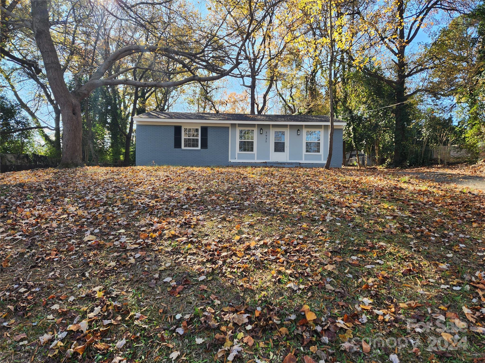 3935 Amerigo Street Property Photo 2