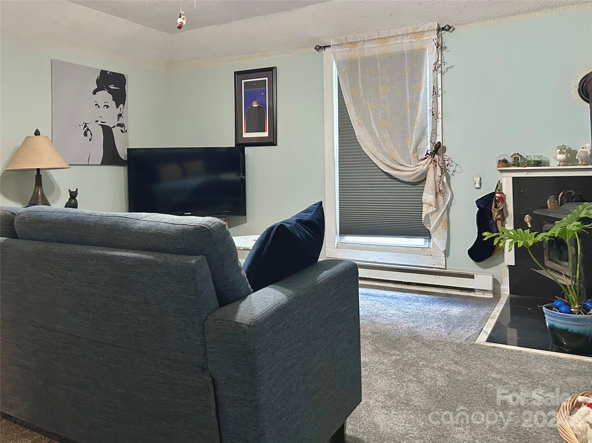 405 Daisey Avenue Property Photo 2