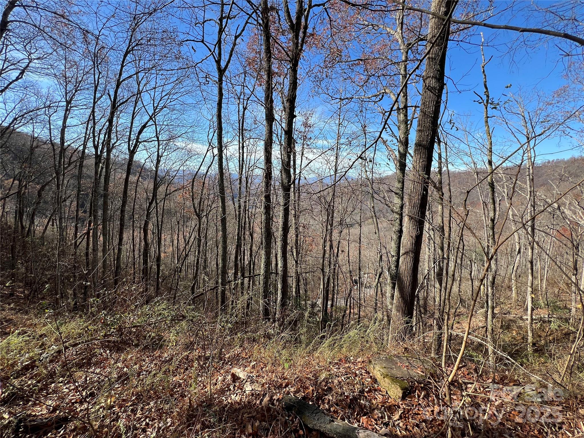 Lot 8 Falls View Drive Property Photo 1