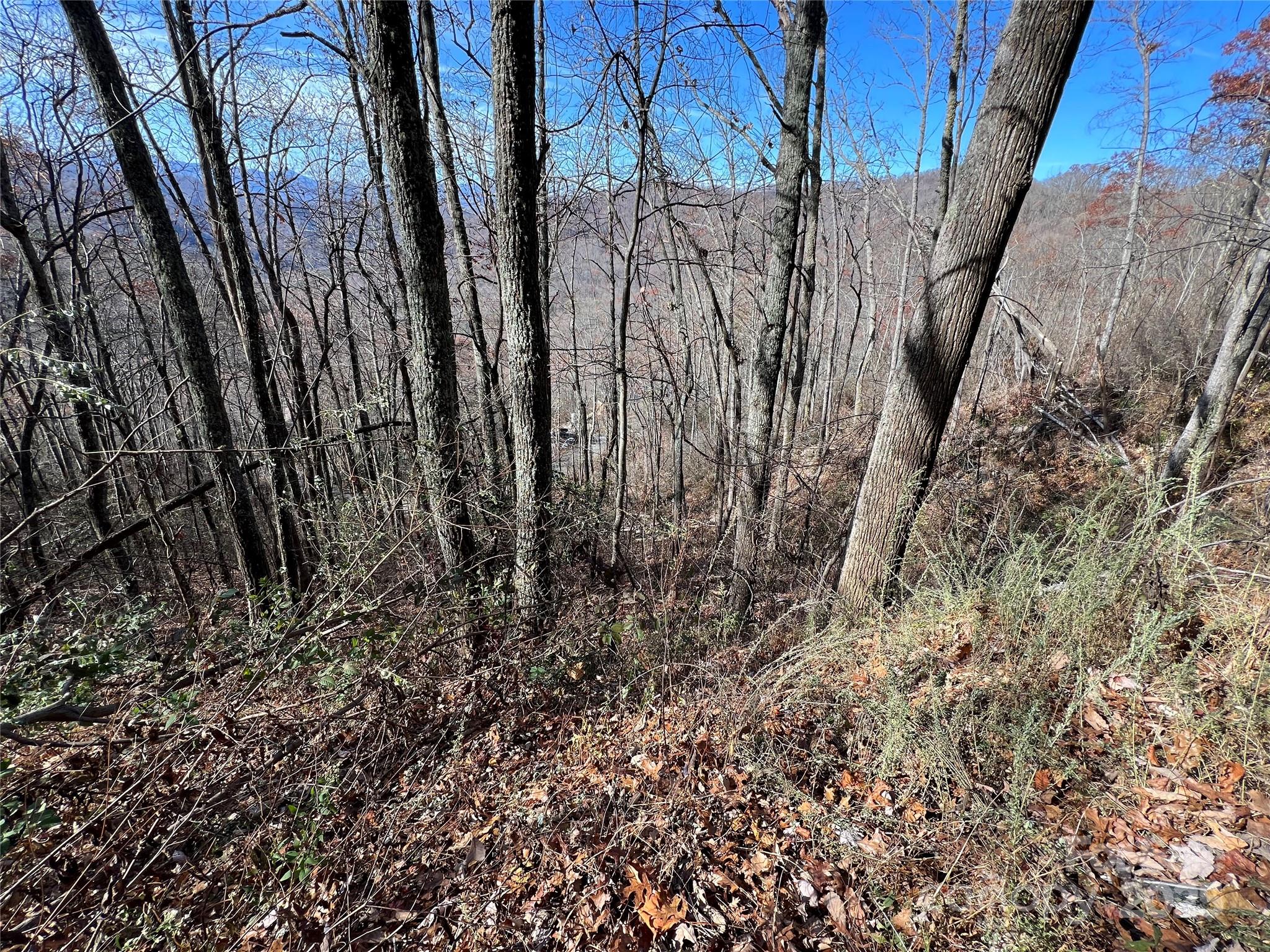 Lot 8 Falls View Drive Property Photo 2