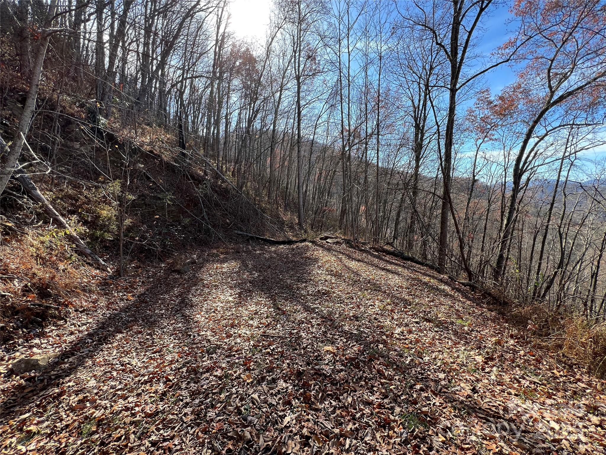 Lot 8 Falls View Drive Property Photo 3