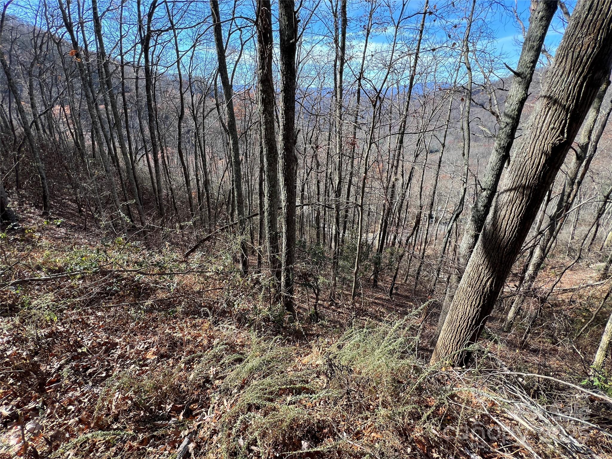 Lot 8 Falls View Drive Property Photo 4
