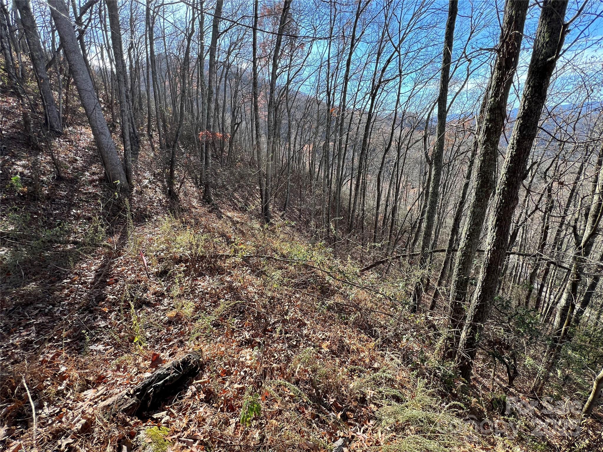 Lot 8 Falls View Drive Property Photo 5