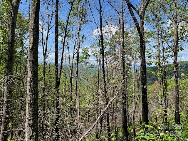 Lot 8 Falls View Drive Property Photo 6