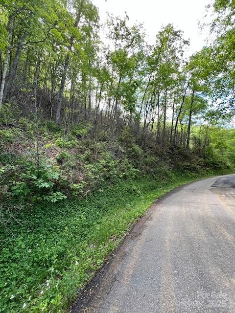 Lot 8 Falls View Drive Property Photo 7