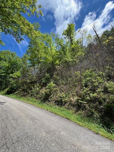 Lot 8 Falls View Drive Property Photo 8