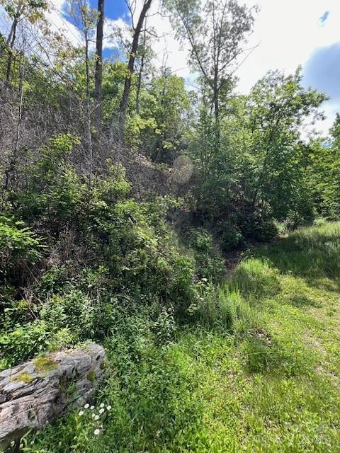 Lot 8 Falls View Drive Property Photo 9
