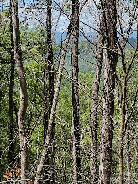 Lot 8 Falls View Drive Property Photo 10