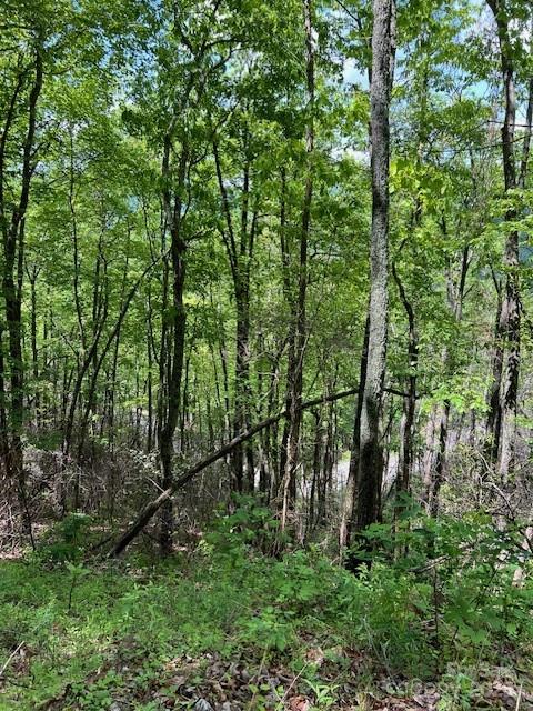 Lot 8 Falls View Drive Property Photo 11