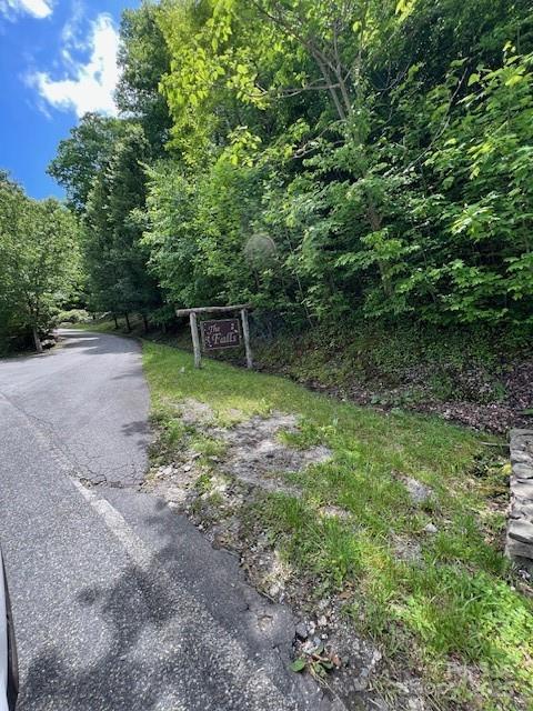 Lot 8 Falls View Drive Property Photo 14