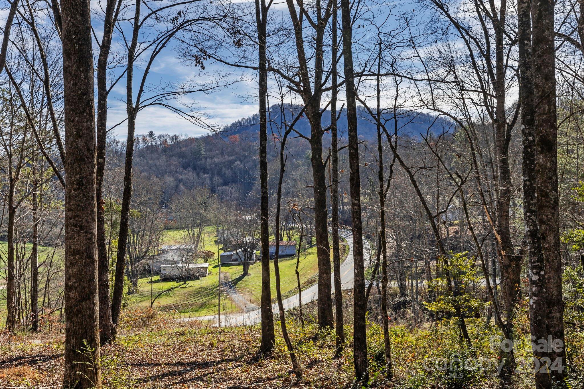 0 Pickens Highway Property Photo 2