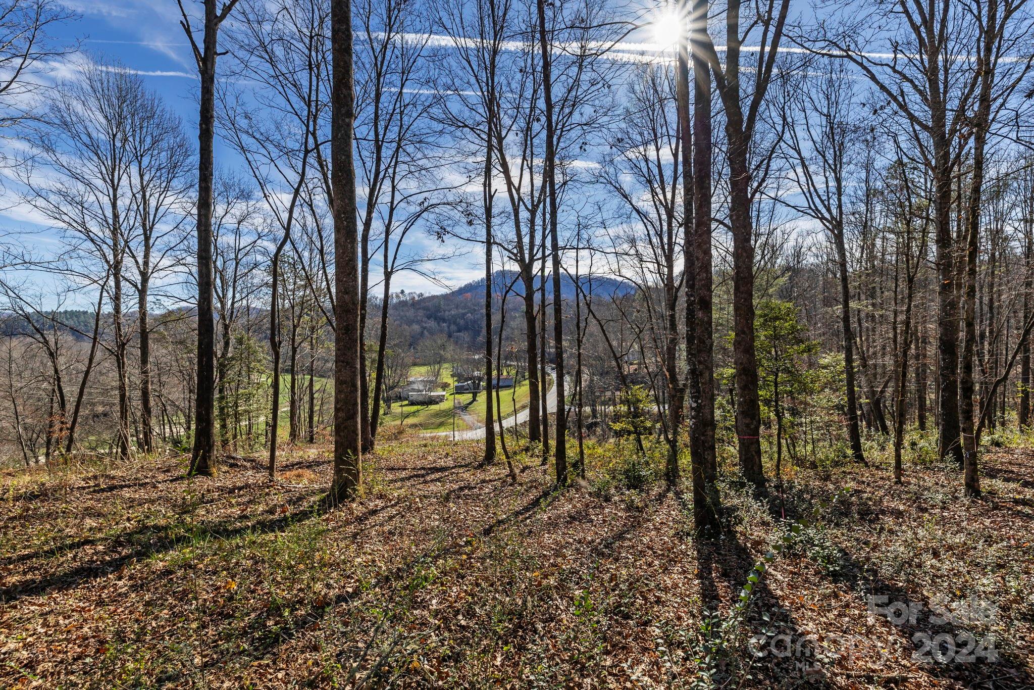 0 Pickens Highway Property Photo 3