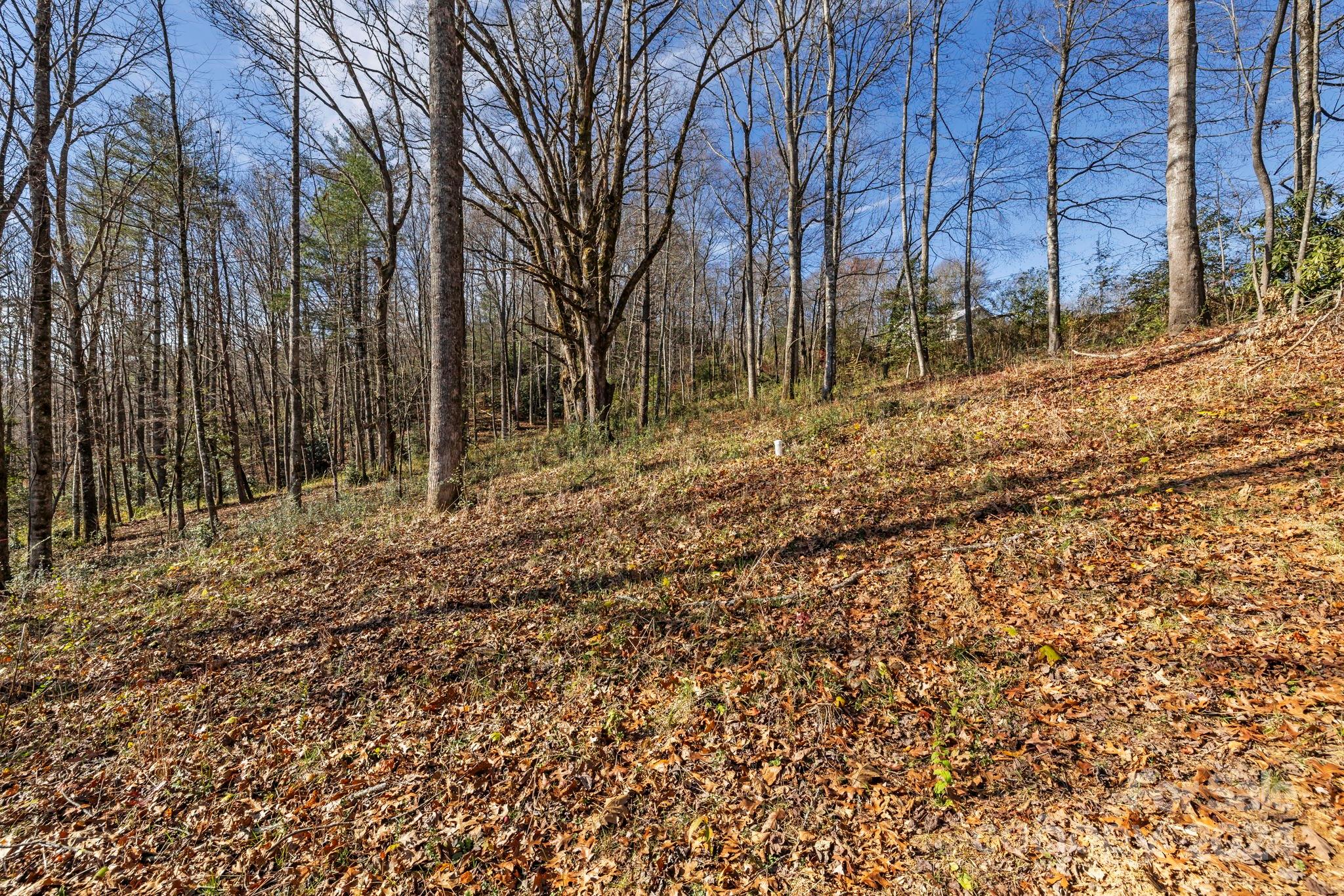 0 Pickens Highway Property Photo 4