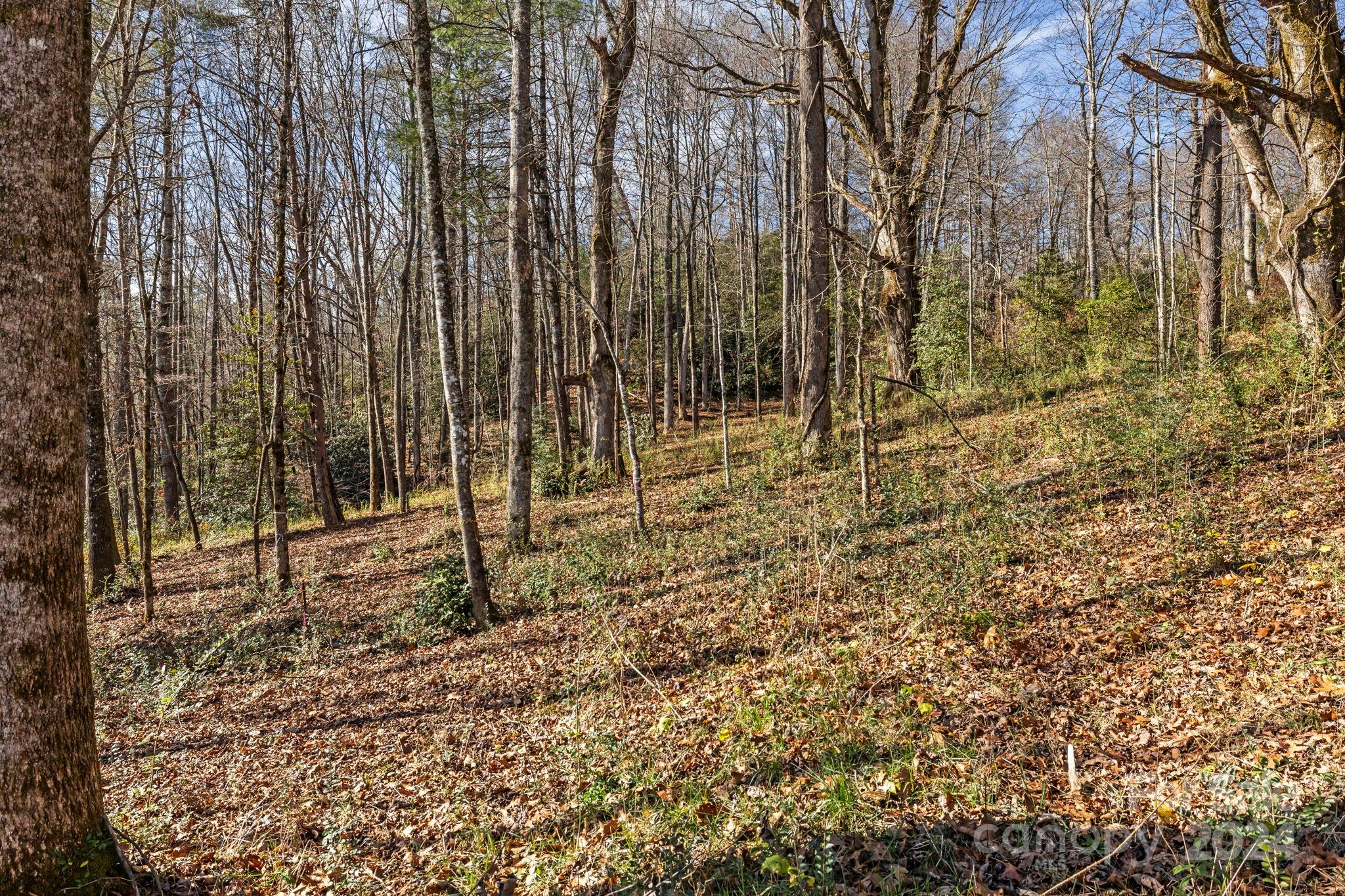 0 Pickens Highway Property Photo 5