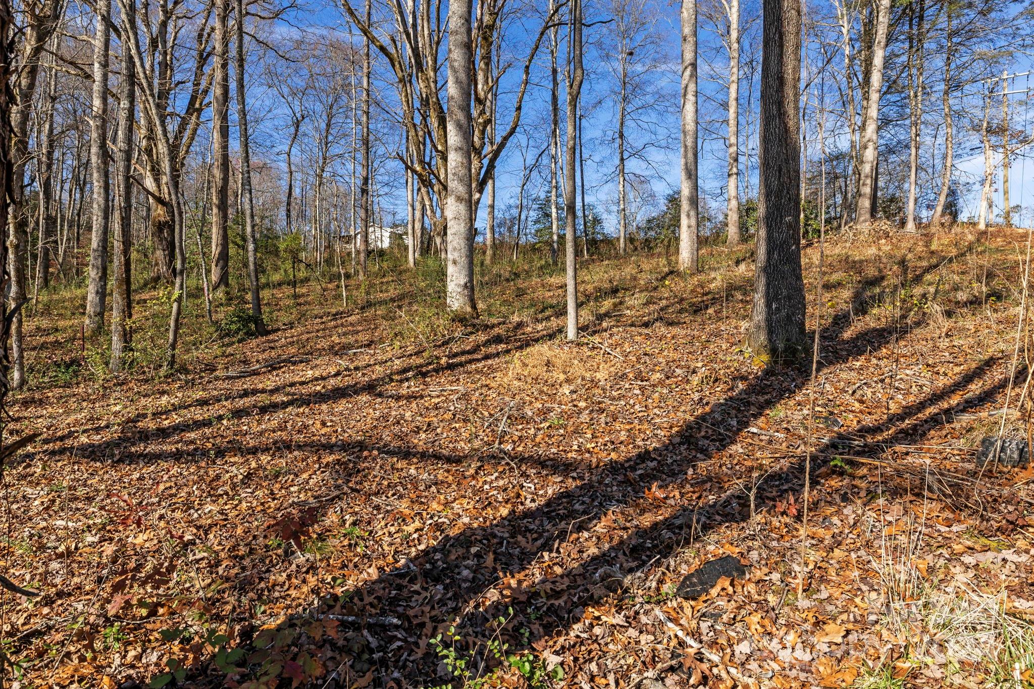 0 Pickens Highway Property Photo 6