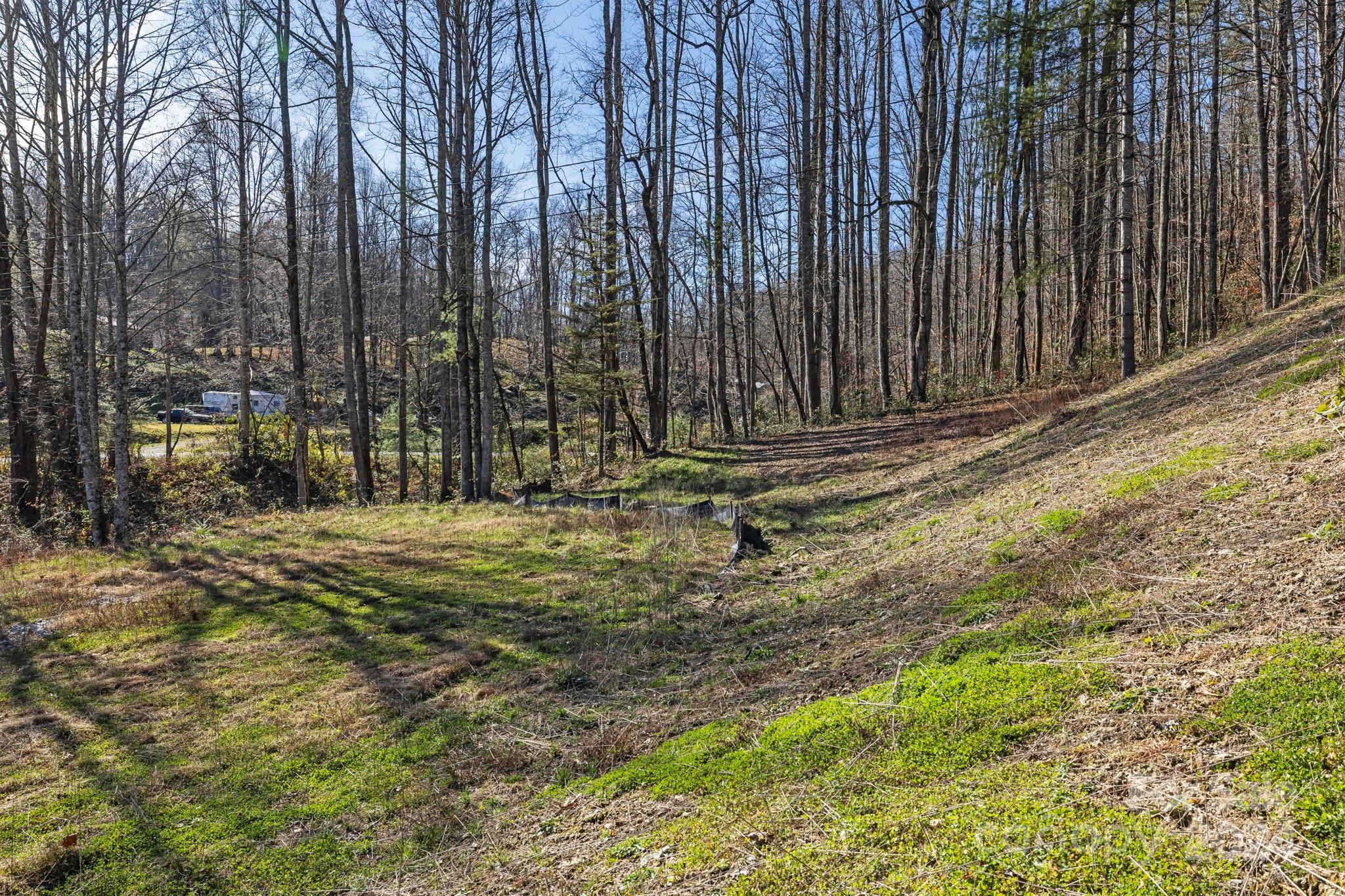 0 Pickens Highway Property Photo 10