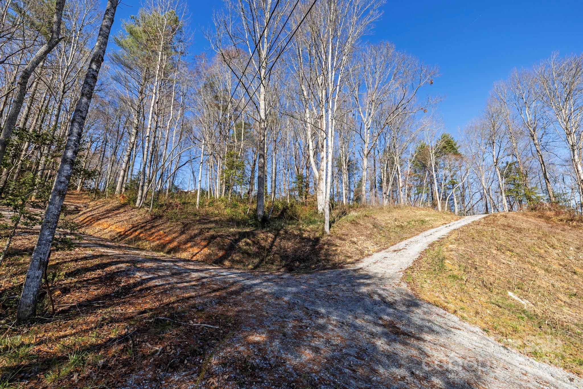 0 Pickens Highway Property Photo 11