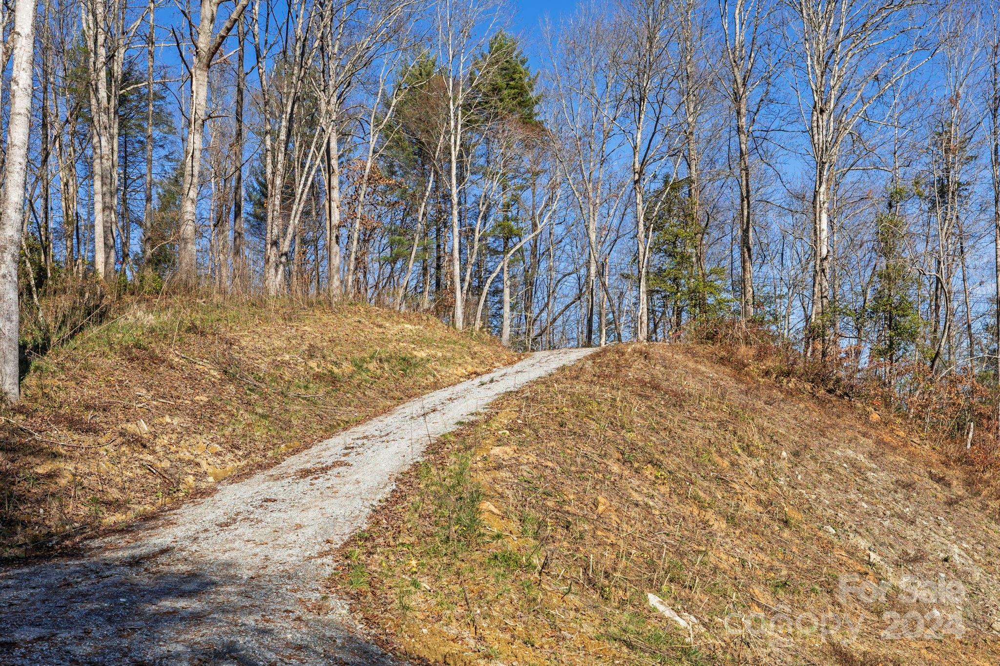 0 Pickens Highway Property Photo 12