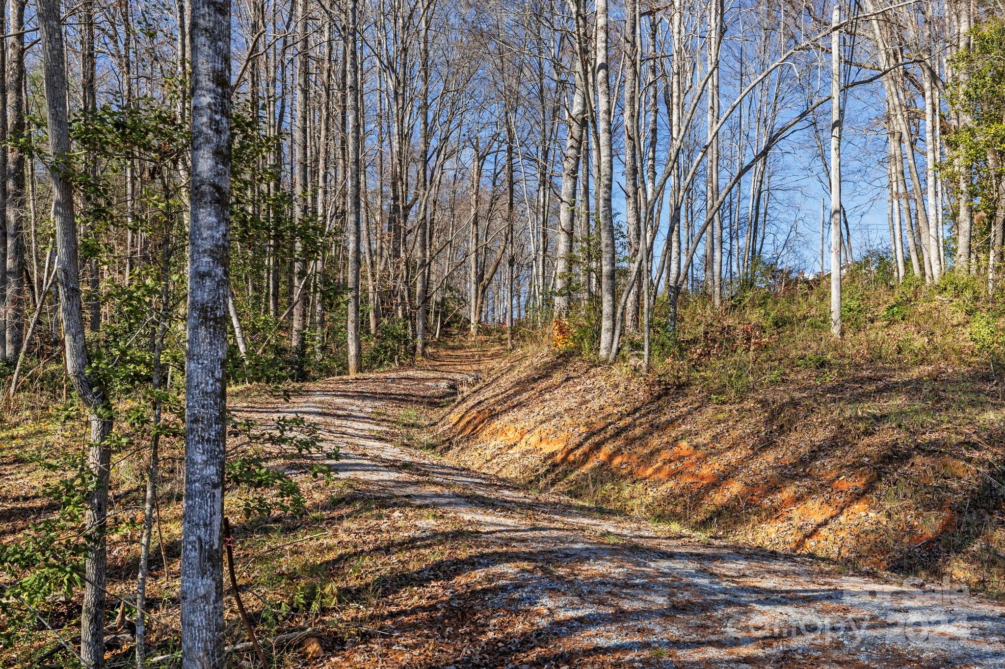 0 Pickens Highway Property Photo 13