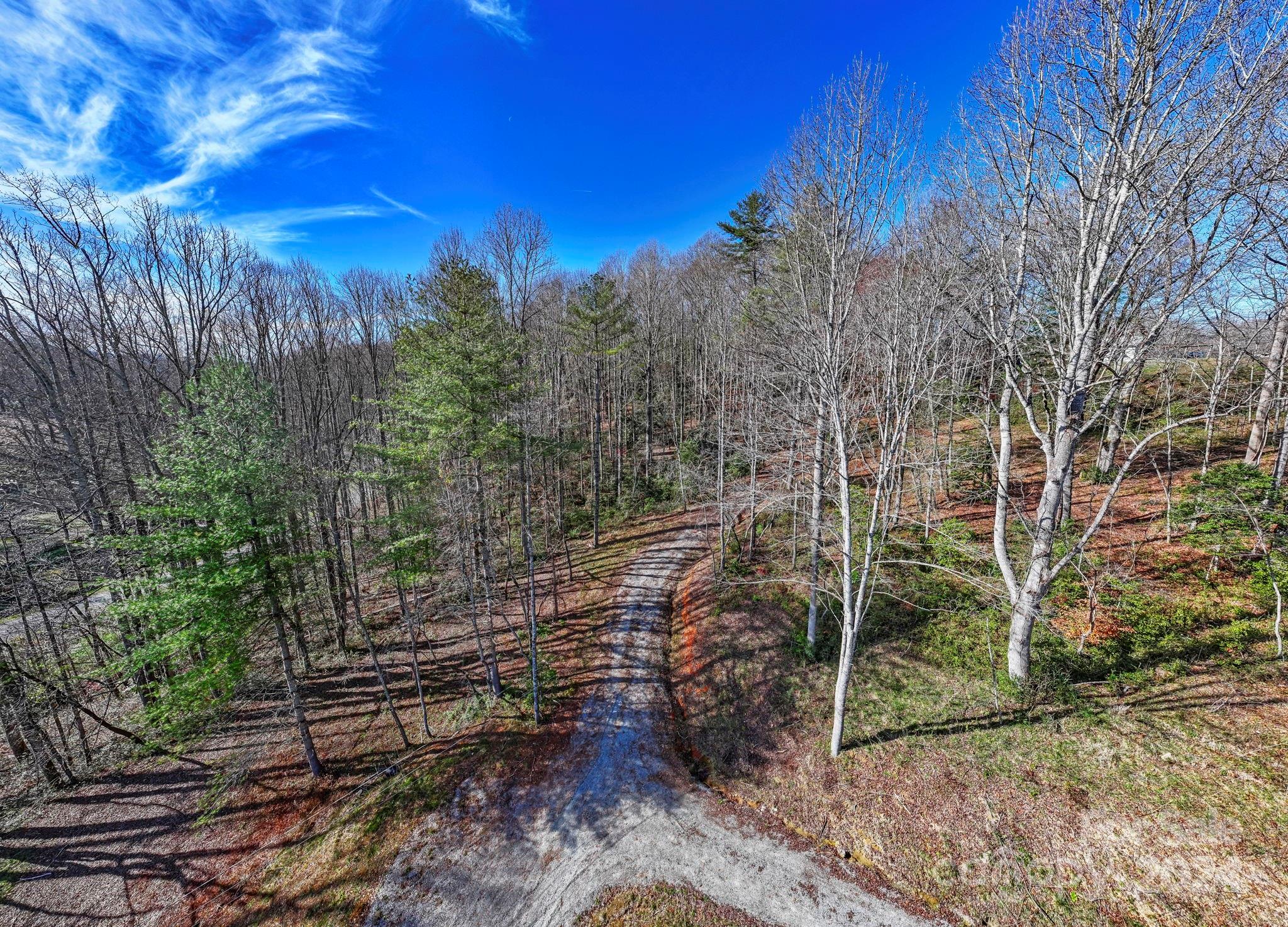 0 Pickens Highway Property Photo 21