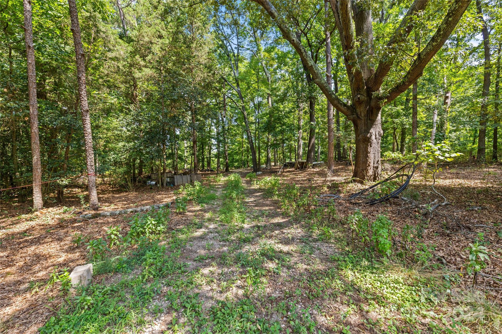 5621 Mount Olive Church Road Property Photo 2